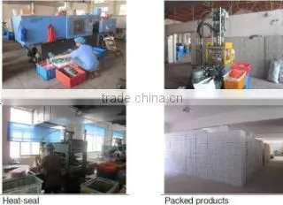 Yangzhou Sanxin Brush Co., Ltd. company overview - view 2