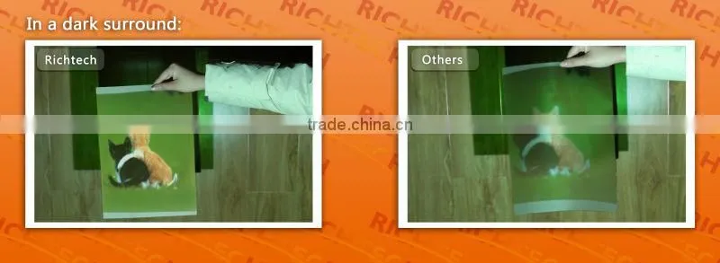 Richtech holographic front and back projection film
