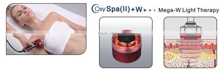 Multi-Function Face and Body Oxygen Beauty Machine Using in Medical SPA