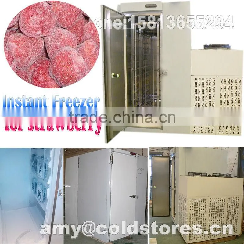 instant freezer for 300kg strawberry freezing