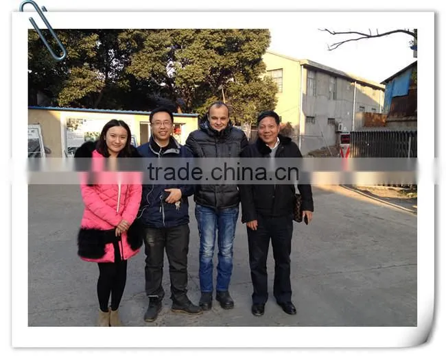 BG12x200 China steel and metal Strip straightening and cutting machine