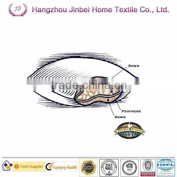100% Cotton White down pillow/ cushion
