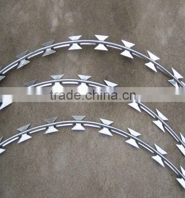 Razor Barbed Wire(factory)