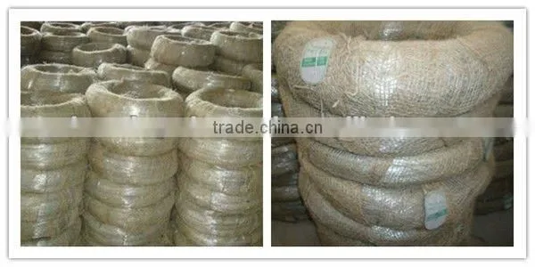 Electric Galvanized Iron Wire (factory)