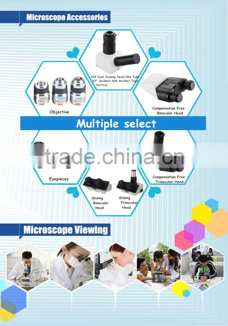 XTX-203C 45 Inclined Binocular Stereo Microscope