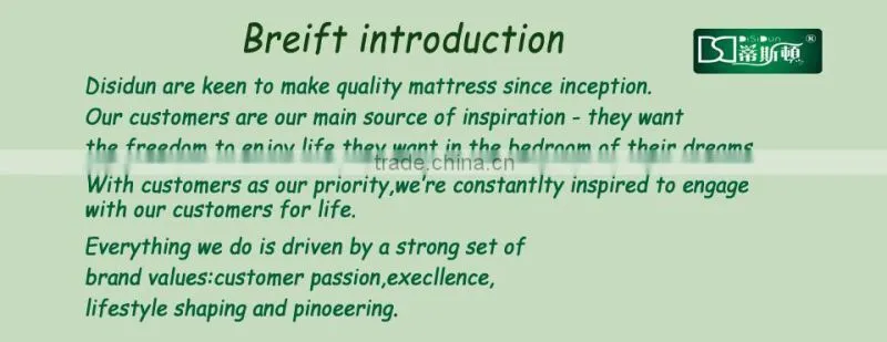 Royal Comfort Eurotop Pocket Spring Queen Mattress