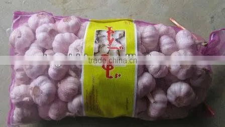 2013 crop natural garlic ,good quality new garlic