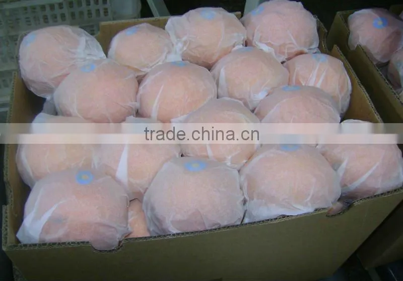 China Navel Orange