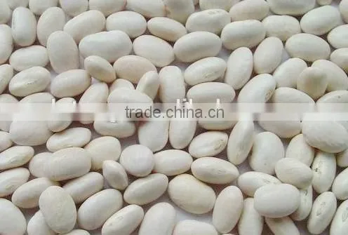 Price of white kidney bean 2014 crop white bean