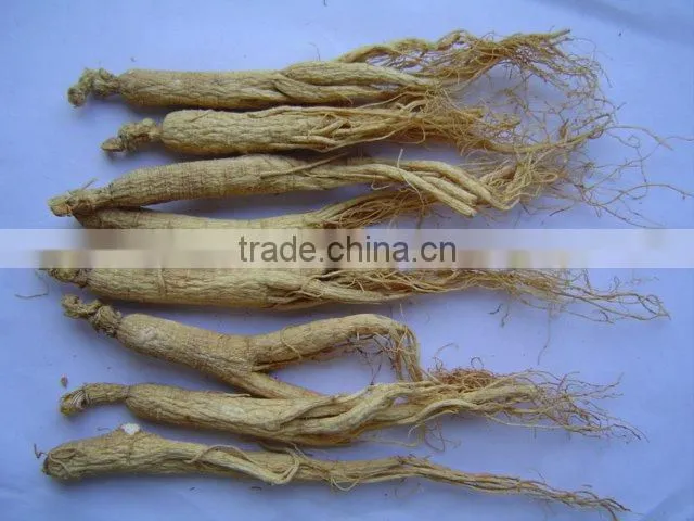 Panax Ginseng Tails
