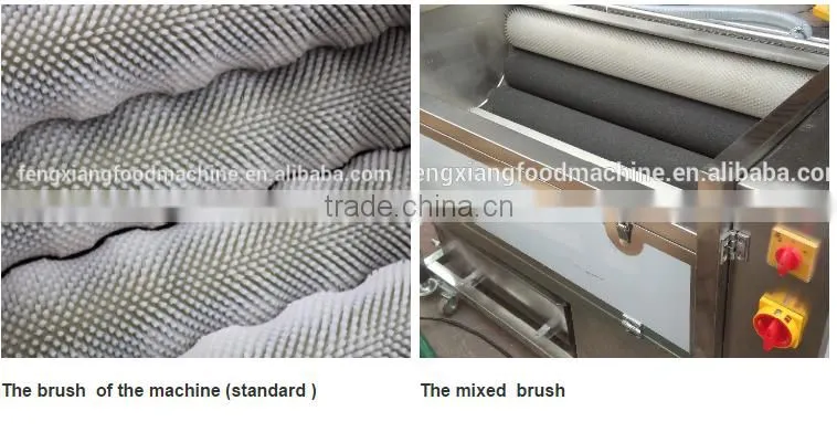 MSTP-500 Ginger Washing Machine Ginger Cleaning Machin Cassava Washing Cleaning Machine