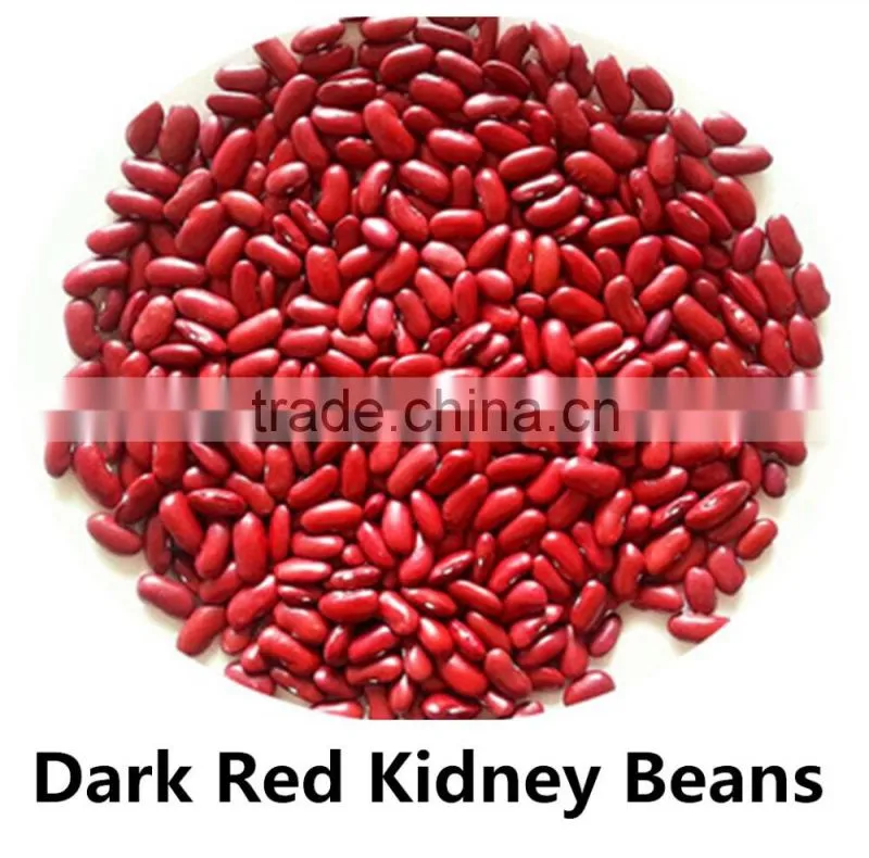 JSX cooking British red kidney bean round shape food grade red kidney bean