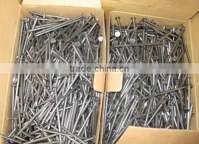 Polish common nails