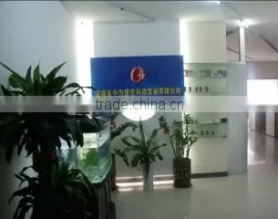 Shenzhen Zhongwei Shengshi Technology Development Co., Ltd. company overview - view 1