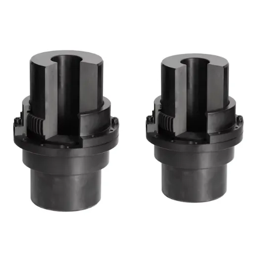 WGT drum gear coupling (3)