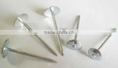 umbrella head roofing nails factory