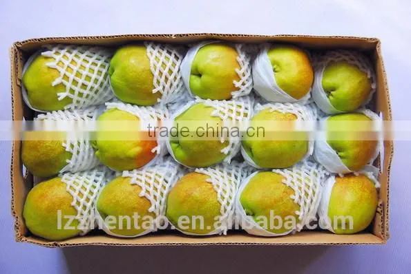 Fruit And Vegetable Packing Net