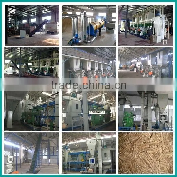 customized or imported Gear motor price