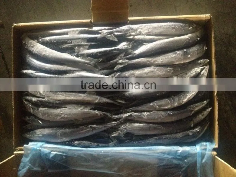 seafrozen pacific saury fish carton packing