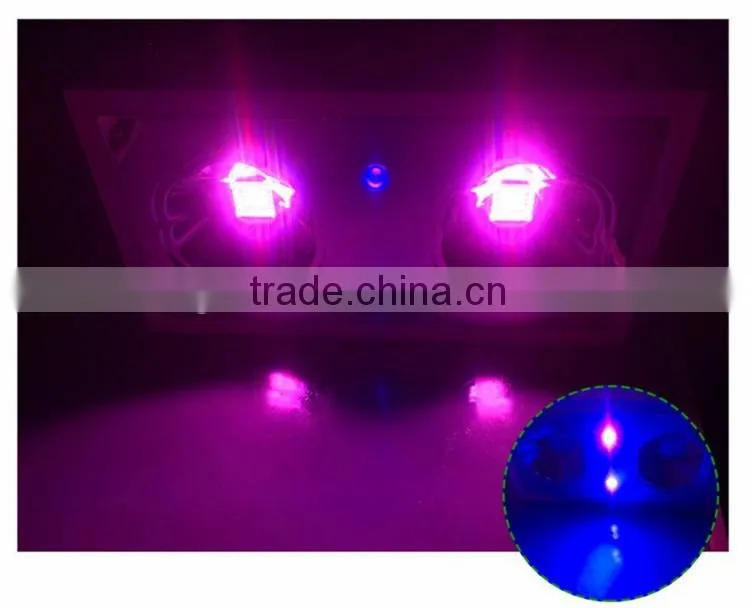 best selling products tiny house hydroponic grow systems Zeus LED plants grow light