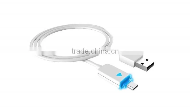Luminous Data USB Sync and Charge Cable