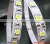 warmwhite IP68 5050 30leds/m LED Strip