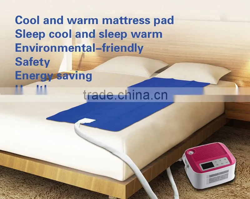 temperature adjustable air mattress pad for bedroom furniture