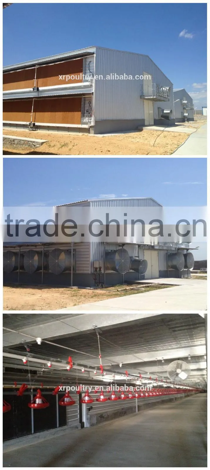 automatic environmental controlled chicken farms construction