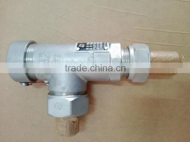 DN25 2.42MPa Safety Valve