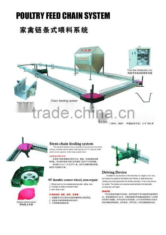 Poultry Breeder Chain Feeding System