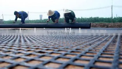 Free sample ISO 9001 ceitificate geogrid for slope stabilization