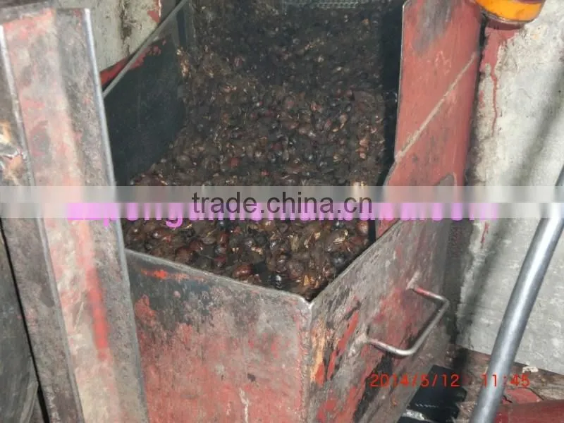 30tph palm oil mill