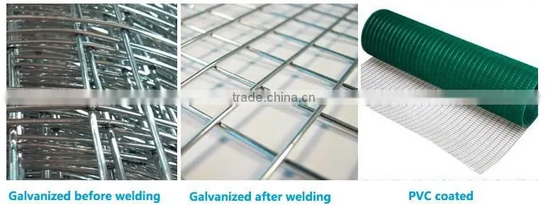 6x6 concrete reinforcing welded wire mesh/welded wire mesh/galvanized welded wire mesh panel