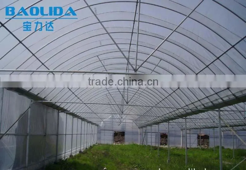 Baolida hot dip galvanized framework polythene greenhouse greenhouse for vegetables and plant