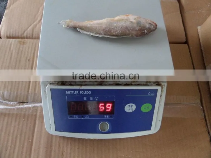 Frozen Yellow Croaker 40/60 g/pc