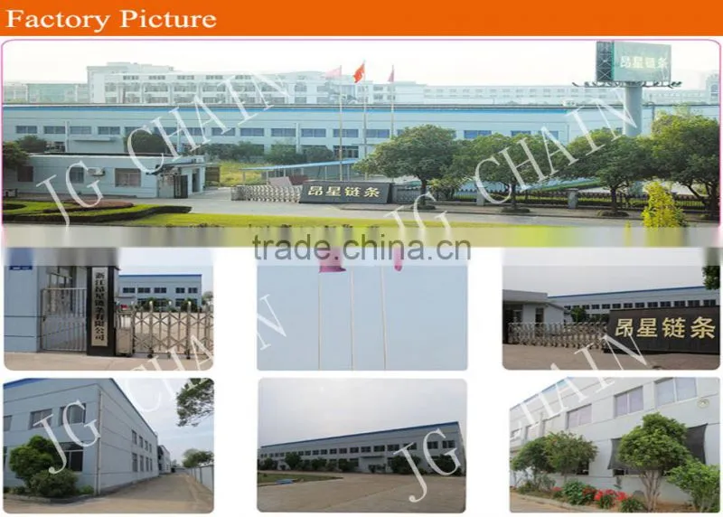 Zhejiang transmission drive roller chain 16b 1