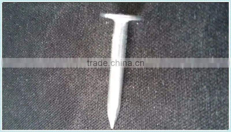 coil roofing,factory direct sale nails
