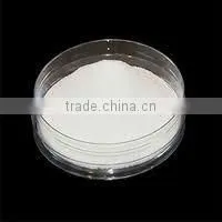 Corn Starch Manufacturer