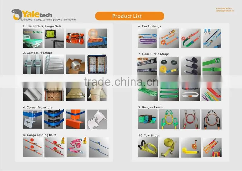Cargo Lashing belt/ratchet tie down /lashing strap /ratchet strap with GS Certificate