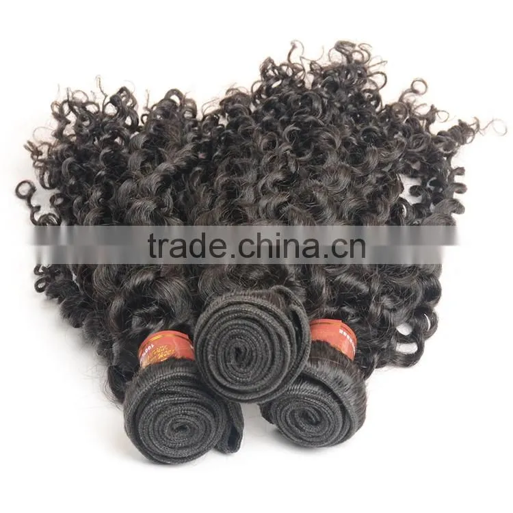 Unprocessed Kinky Curly Virgin Malaysian Hair Wholesale Malaysian Human Hair Weaves Curly Extension