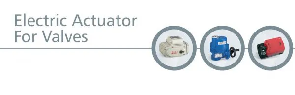 Wenzhou Heli Automatic Meter Co.,ltd company overview - view 1