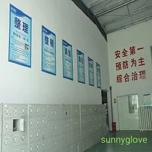 Rudong Sunny Gloves company overview - view 2