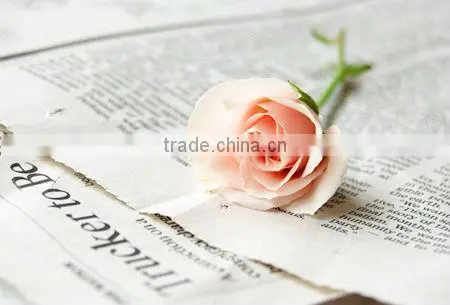 hot sale Customized Fashion offset catalogue printing