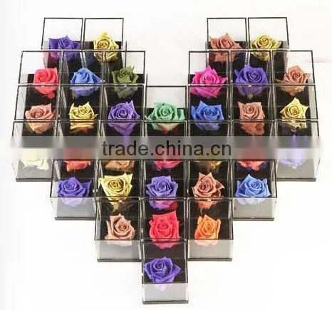 Magic Rose with Color Change & Luminous Function