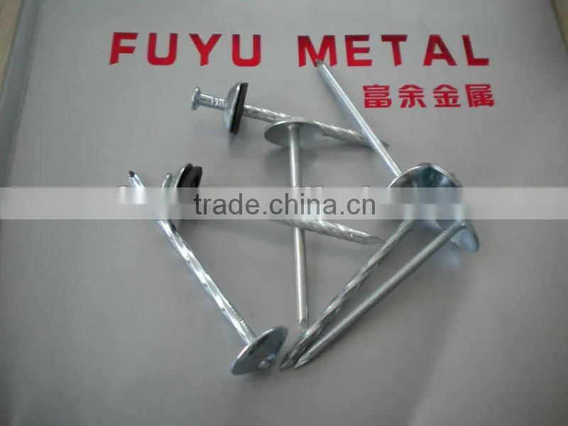 electro galvanized twisted shank roofing nails