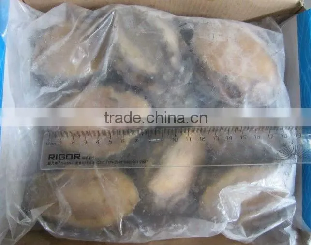 frozen abalone with shell for sale