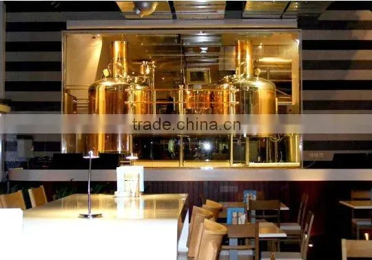 3hl copper beer brewery equipment