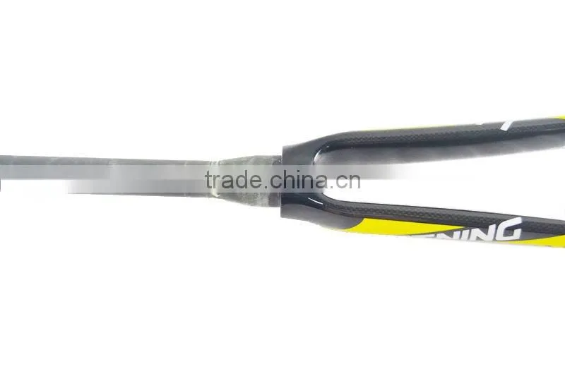 road full carbon fiber bike frame set Lightning5500(876)