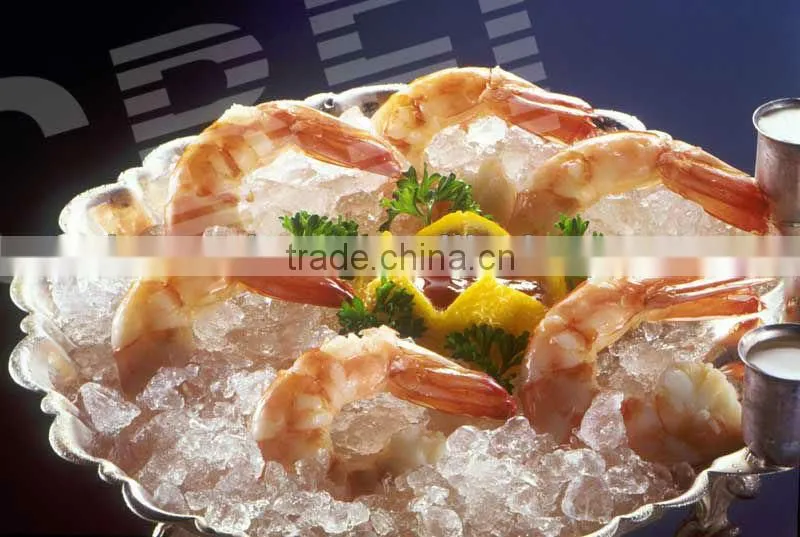 Commercial 10000kg/day automatic block ice machine for Africa