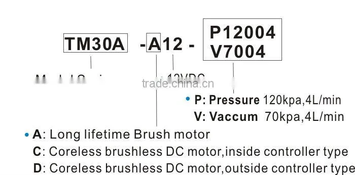 DC Brushless Diaphragm 6v 12v 24v RF Beauty device vacuum SIP and cold spray Pump